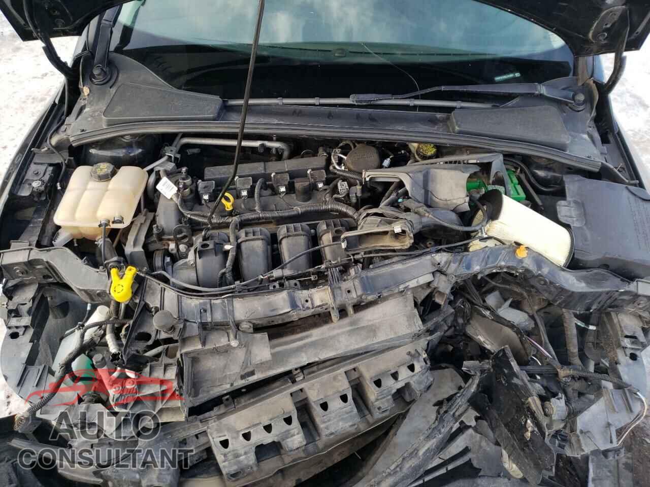 FORD FOCUS 2016 - 1FADP3F26GL312801