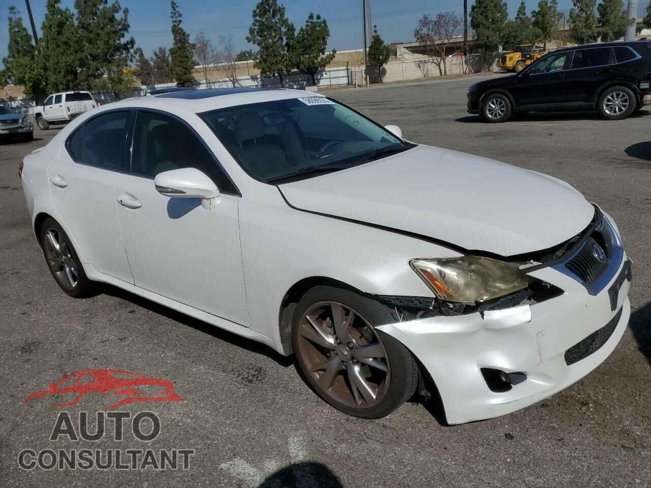 LEXUS IS 2009 - JTHBK262492091099