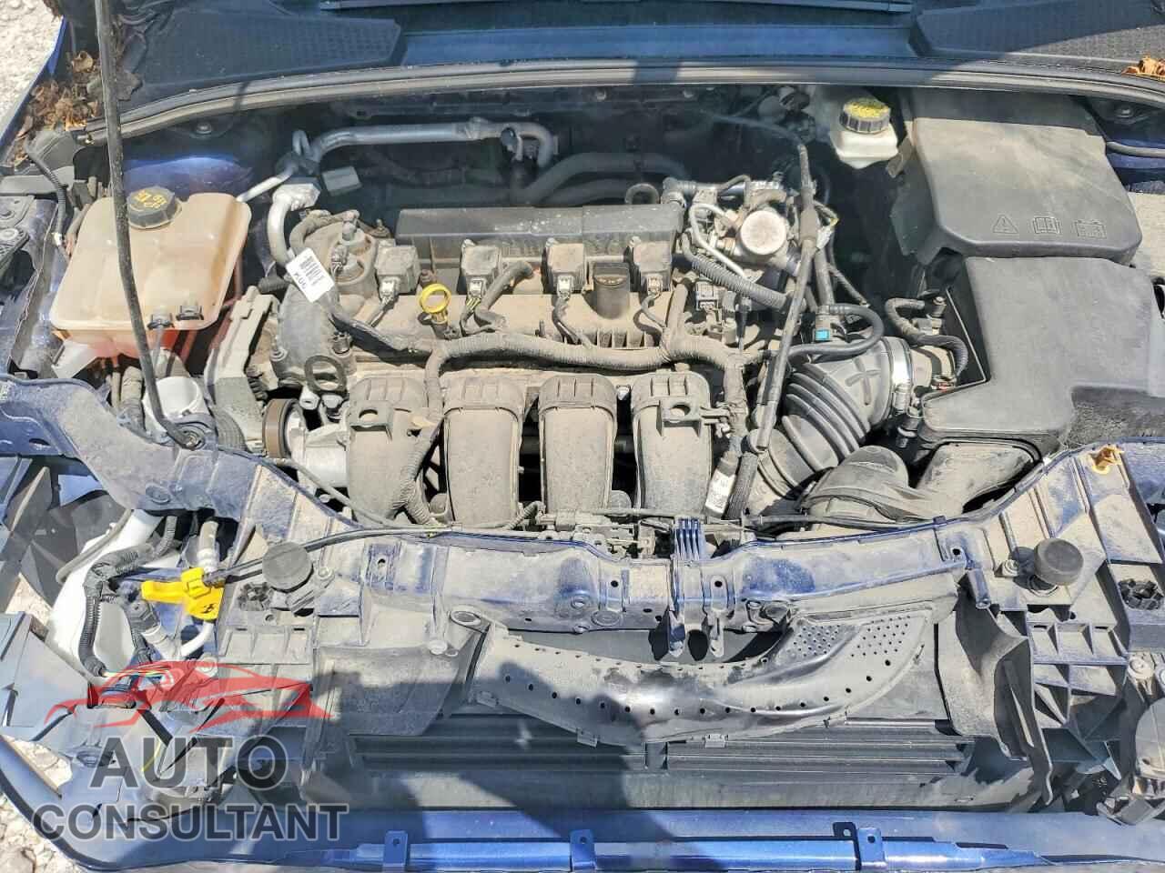 FORD FOCUS 2017 - 1FADP3M2XHL263395