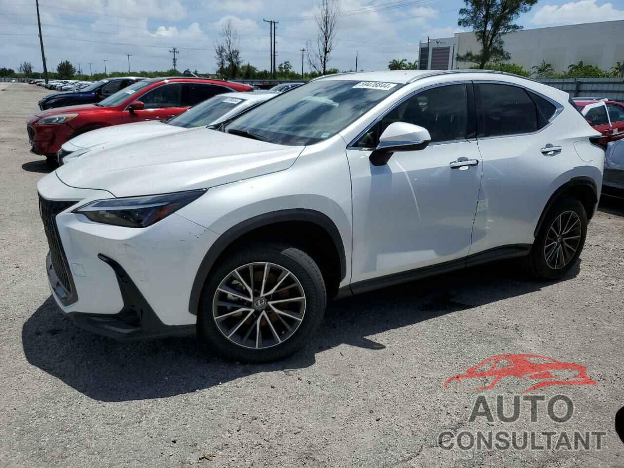 LEXUS NX 250 2023 - JTJADCAZ4P5012444