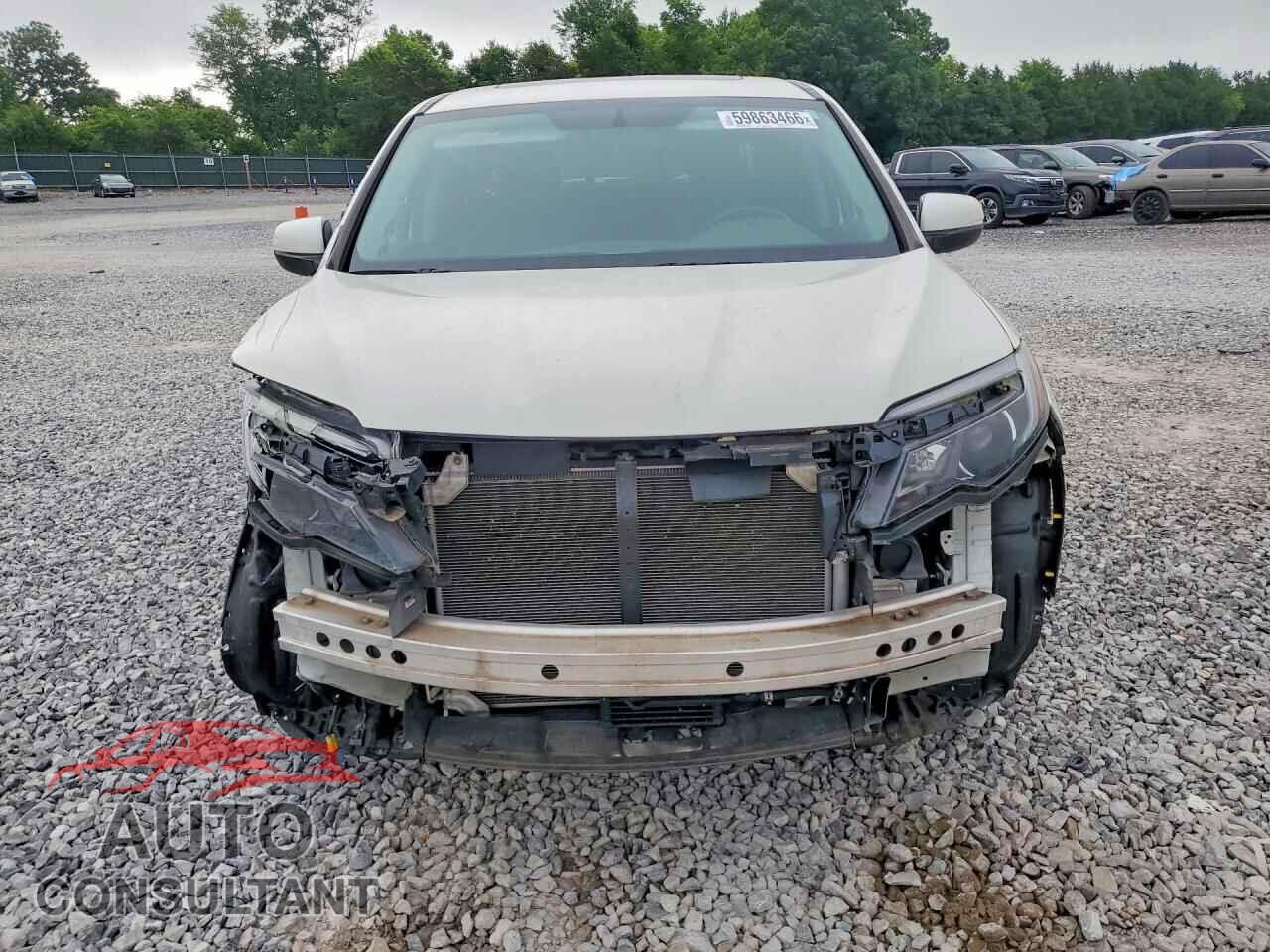 HONDA RIDGELINE 2019 - 5FPYK3F5XKB028692
