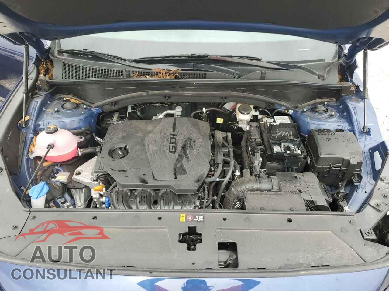 HYUNDAI SANTA FE 2023 - 5NMS14AJ5PH596057