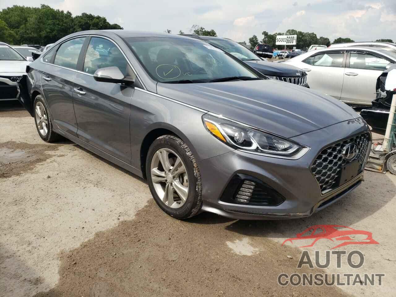 HYUNDAI SONATA 2019 - 5NPE34AF0KH787514