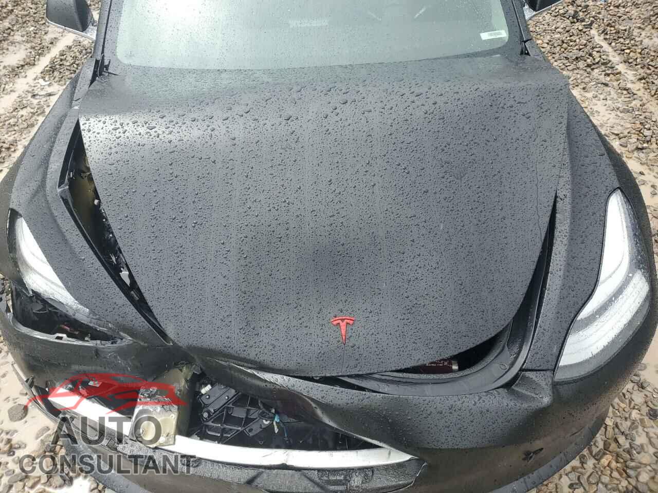 TESLA MODEL 3 2019 - 5YJ3E1EA9KF324672