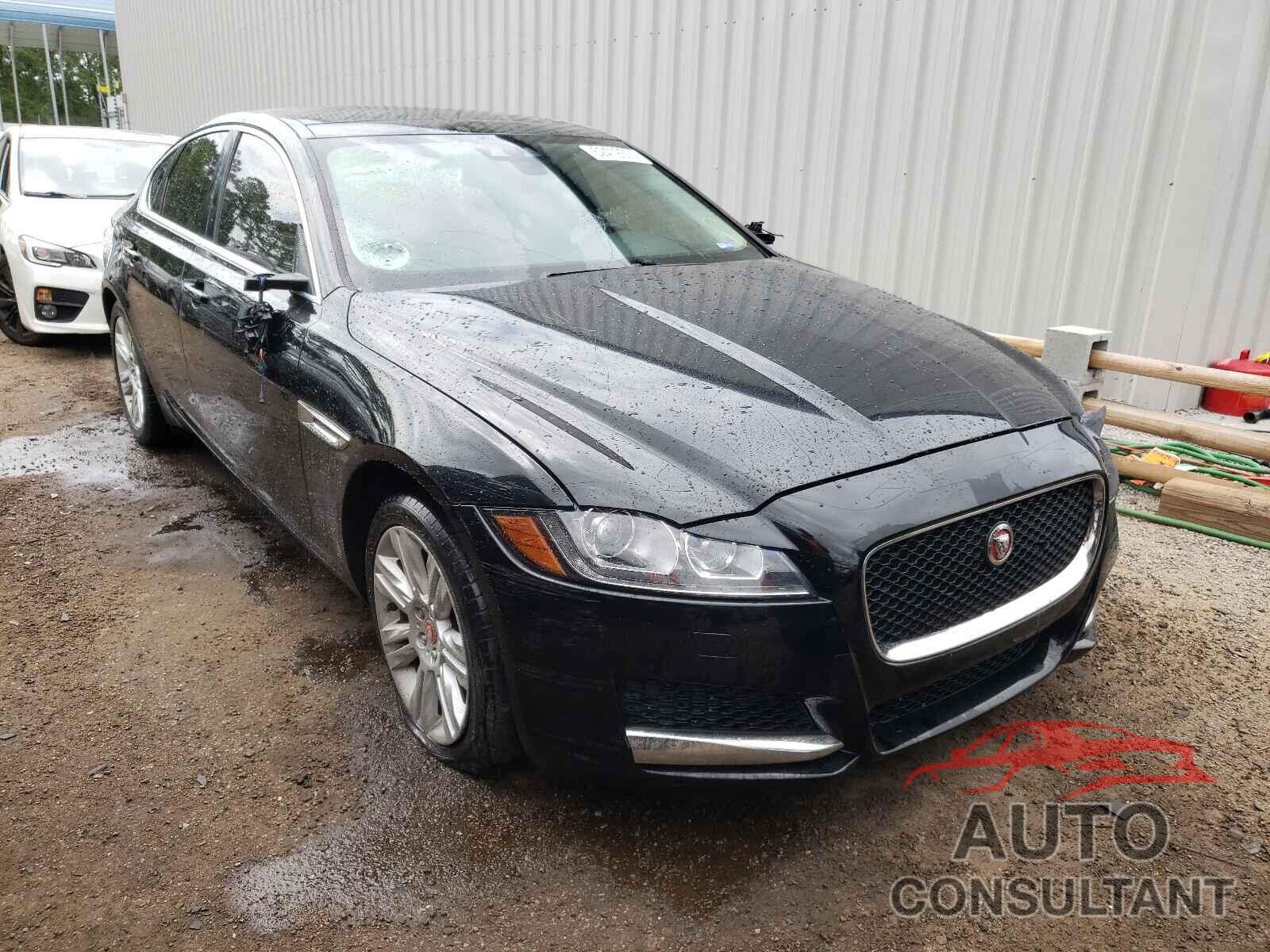 JAGUAR XF 2016 - SAJBD4BV5GCY24308