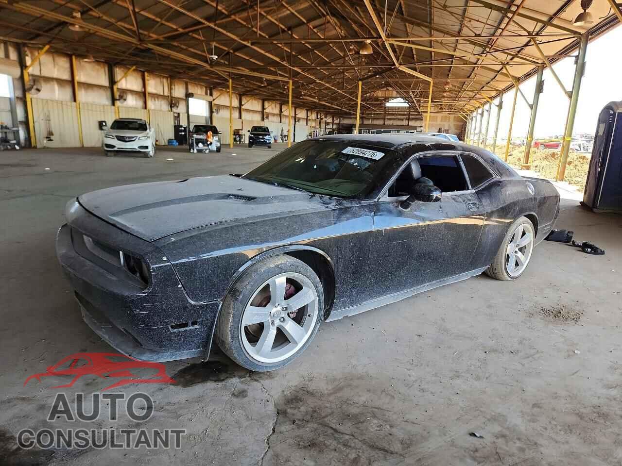 DODGE CHALLENGER 2013 - 2C3CDYAG7DH501050