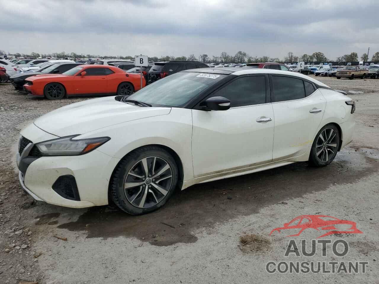 NISSAN MAXIMA 2019 - 1N4AA6AV7KC372540