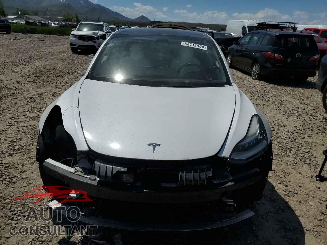 TESLA MODEL 3 2020 - 5YJ3E1EB3LF628638