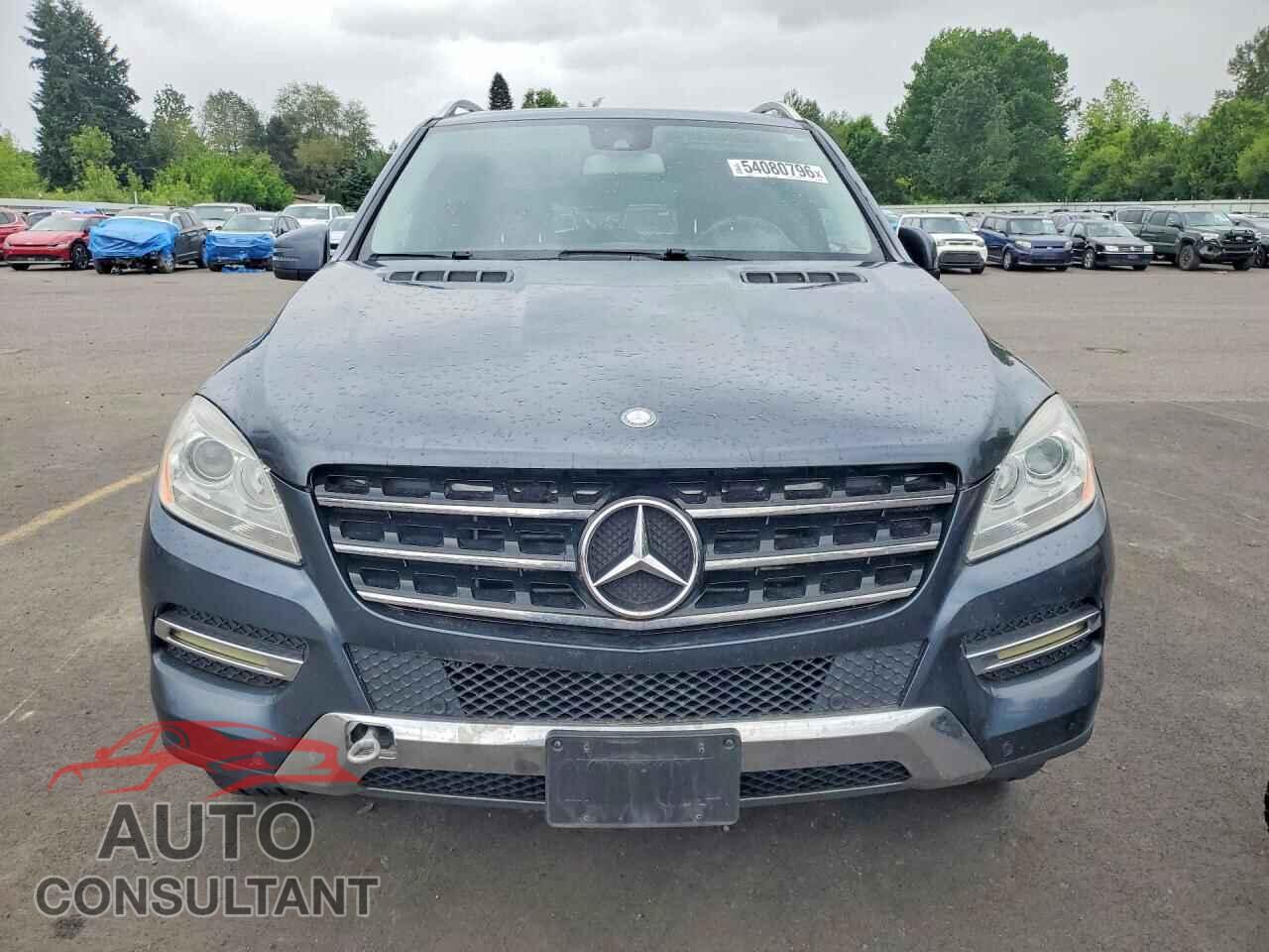 MERCEDES-BENZ M-CLASS 2012 - 4JGDA2EB2CA033063