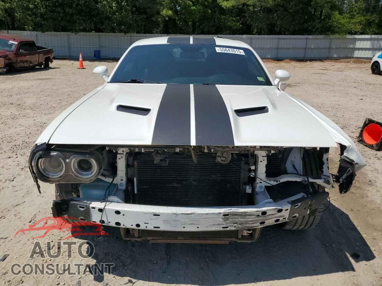 DODGE CHALLENGER 2018 - 2C3CDZAG2JH251864