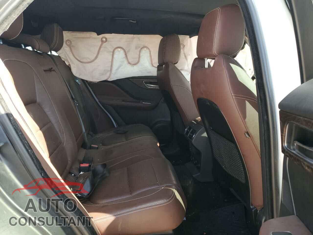 JAGUAR F-PACE 2019 - SADCM2FV2KA358900
