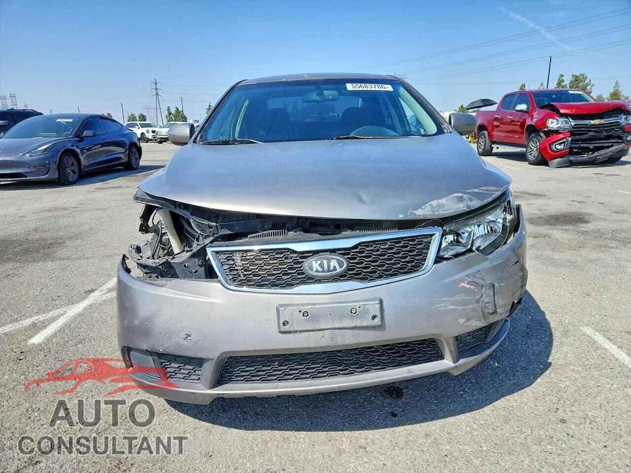 KIA FORTE 2012 - KNAFU4A25C5564155