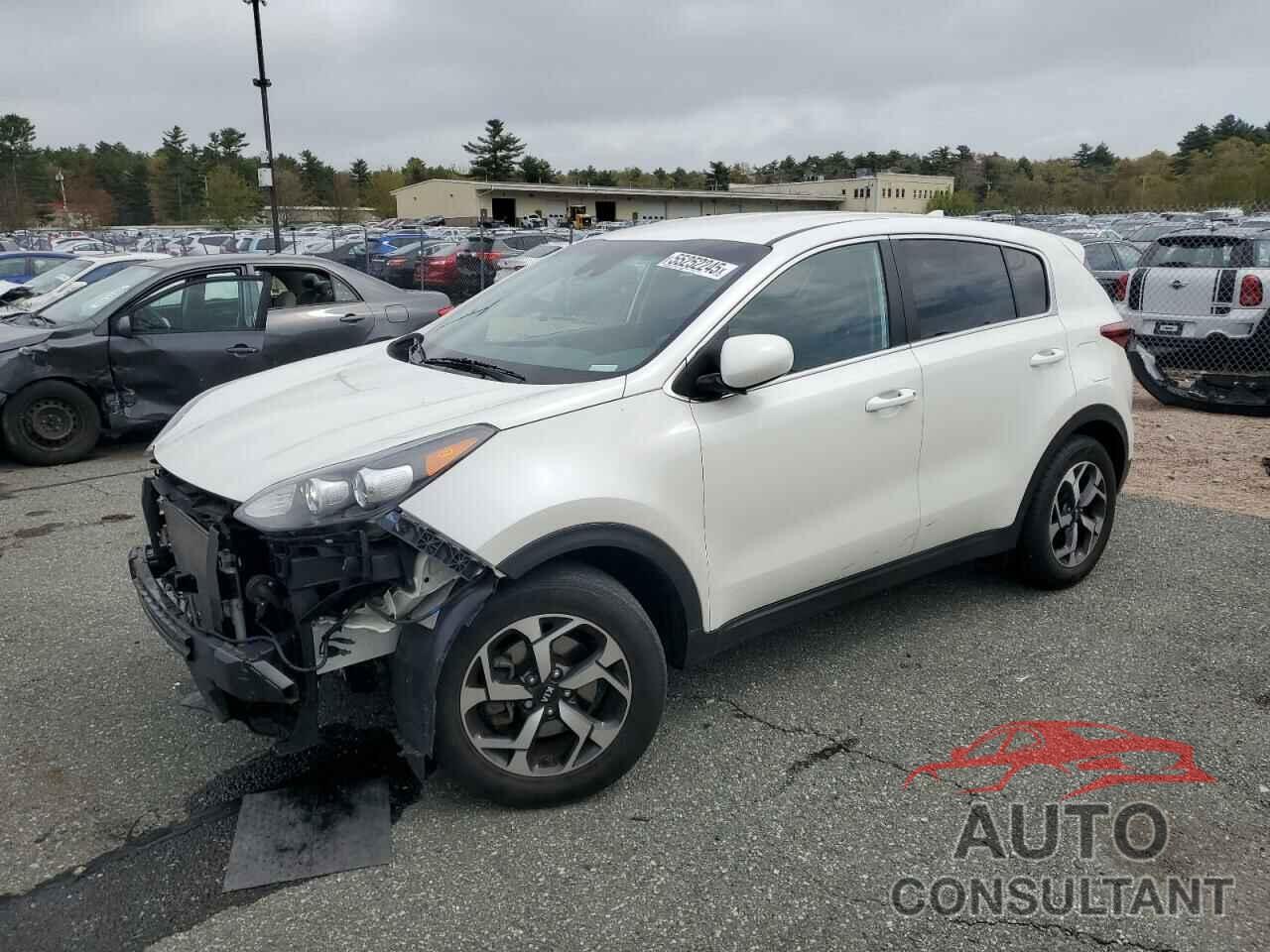 KIA SPORTAGE 2022 - KNDPM3AC7N7994383