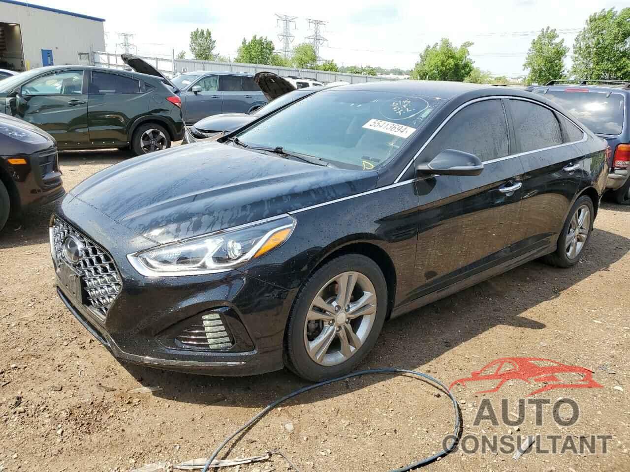 HYUNDAI SONATA 2019 - 5NPE34AF6KH776002