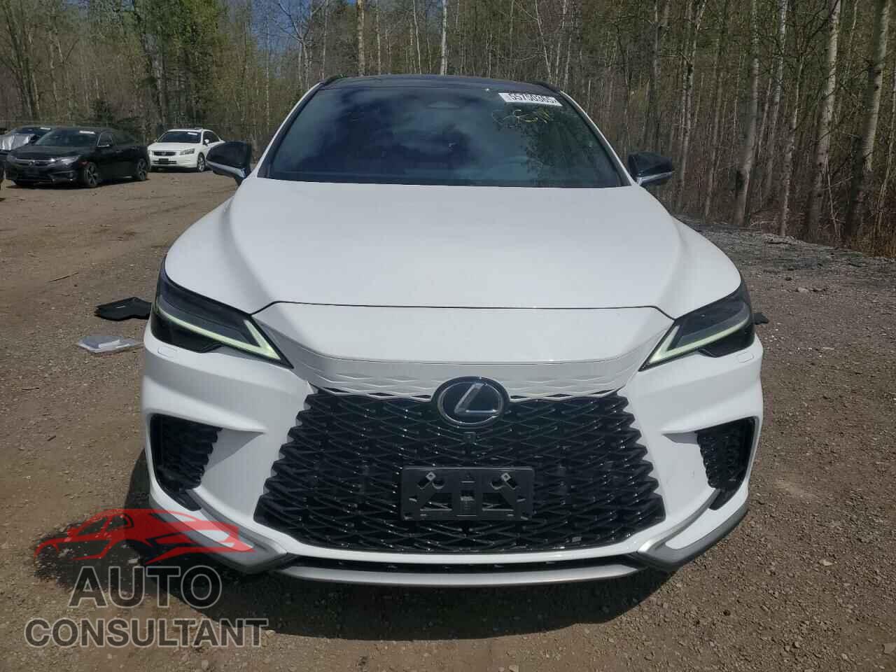 LEXUS RX350 2023 - 2T2BAMCA9PC036850