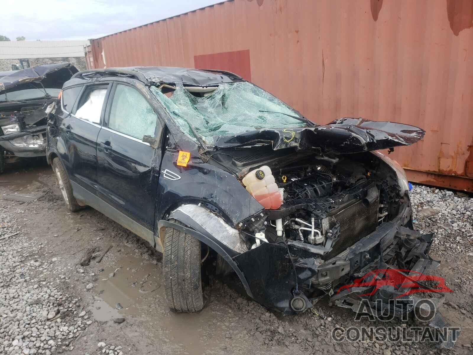 FORD ESCAPE 2016 - 1FMCU0G92GUA48913