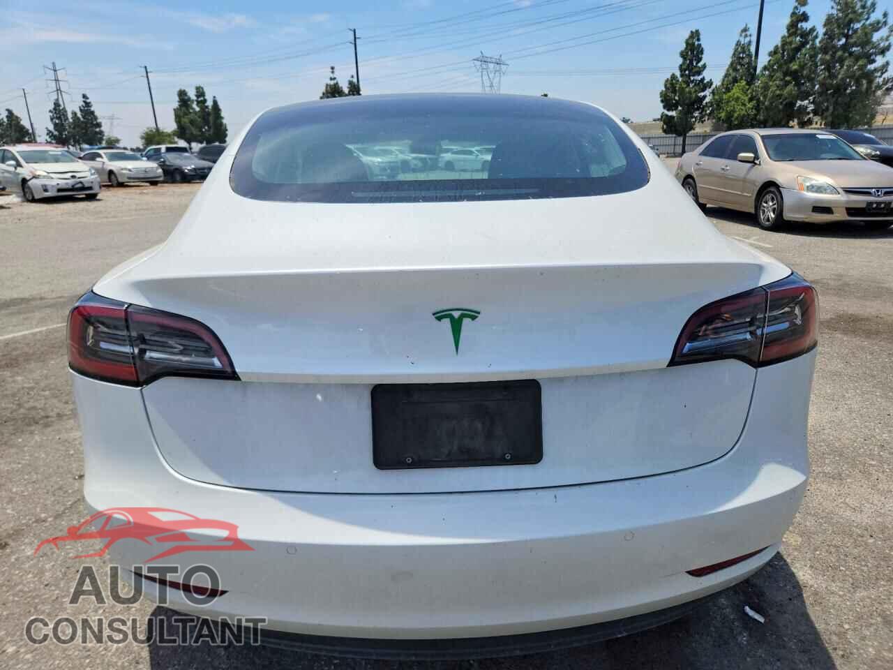 TESLA MODEL 3 2019 - 5YJ3E1EA8KF190530