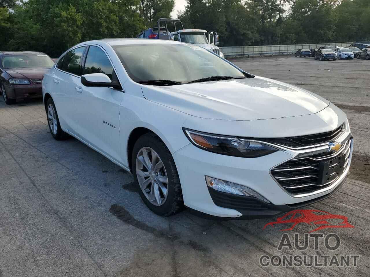 CHEVROLET MALIBU 2019 - 1G1ZD5ST3KF184665