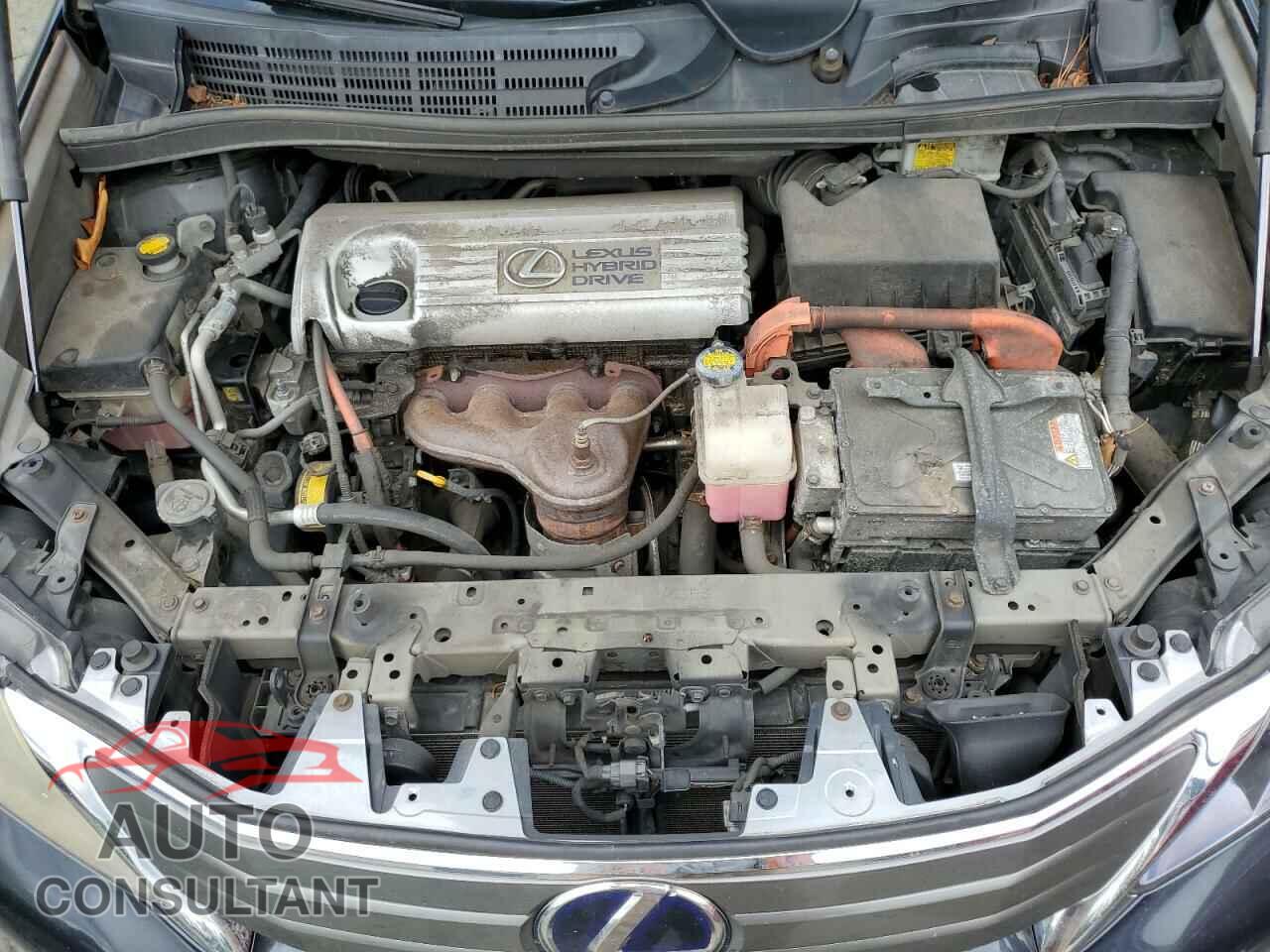 LEXUS HS 2011 - JTHBB1BA5B2046802