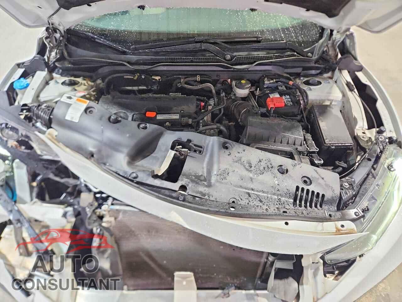 HONDA CIVIC 2019 - 2HGFC2F61KH519664