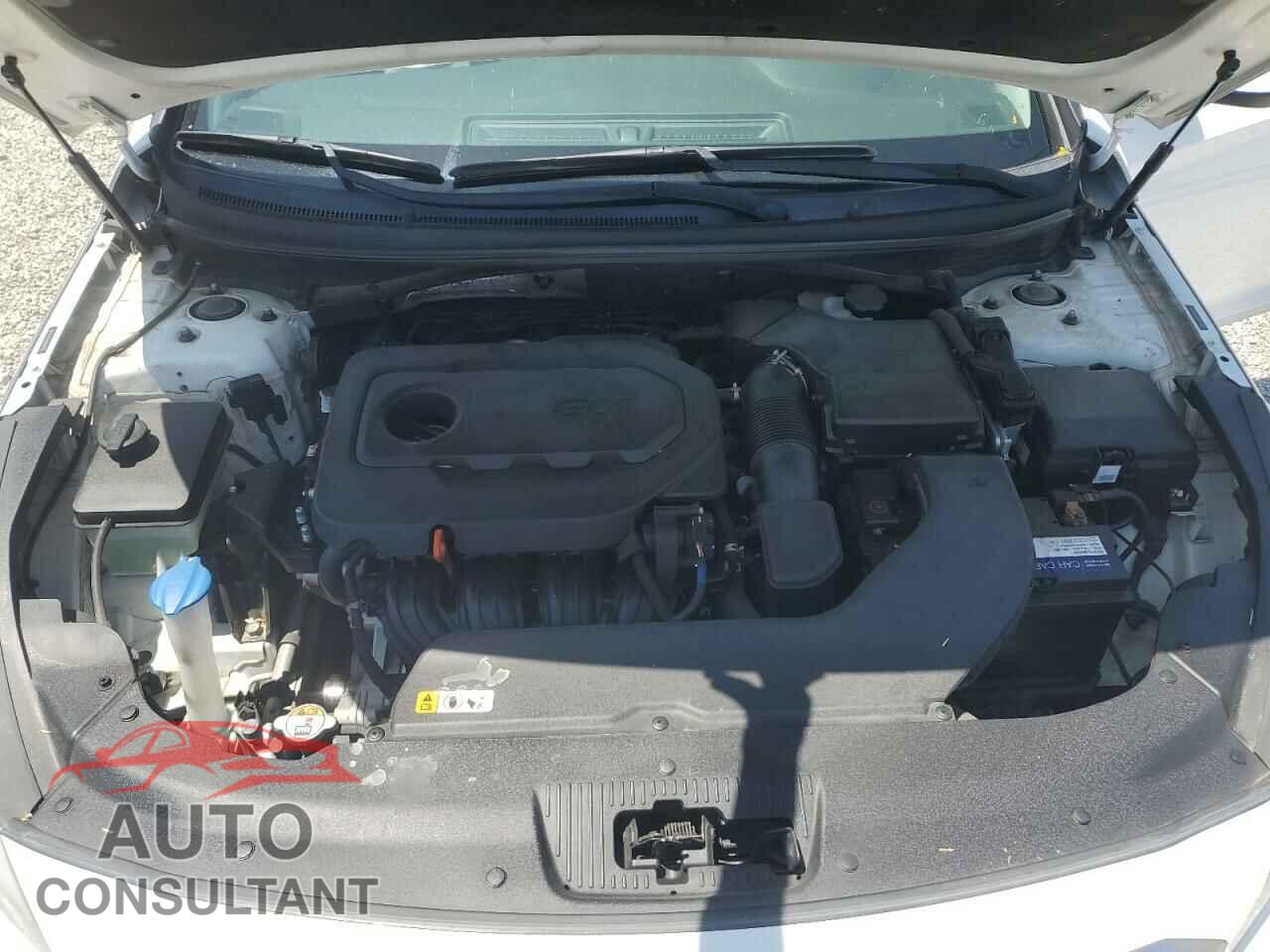 HYUNDAI SONATA 2017 - 5NPE24AF4HH503829