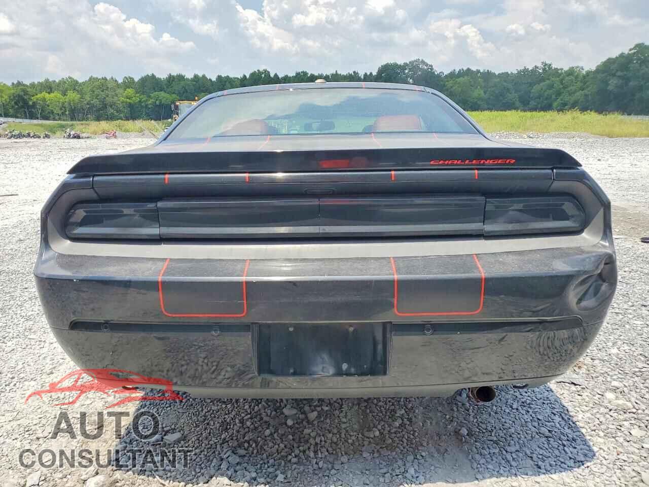 DODGE CHALLENGER 2013 - 2C3CDYBT5DH674366
