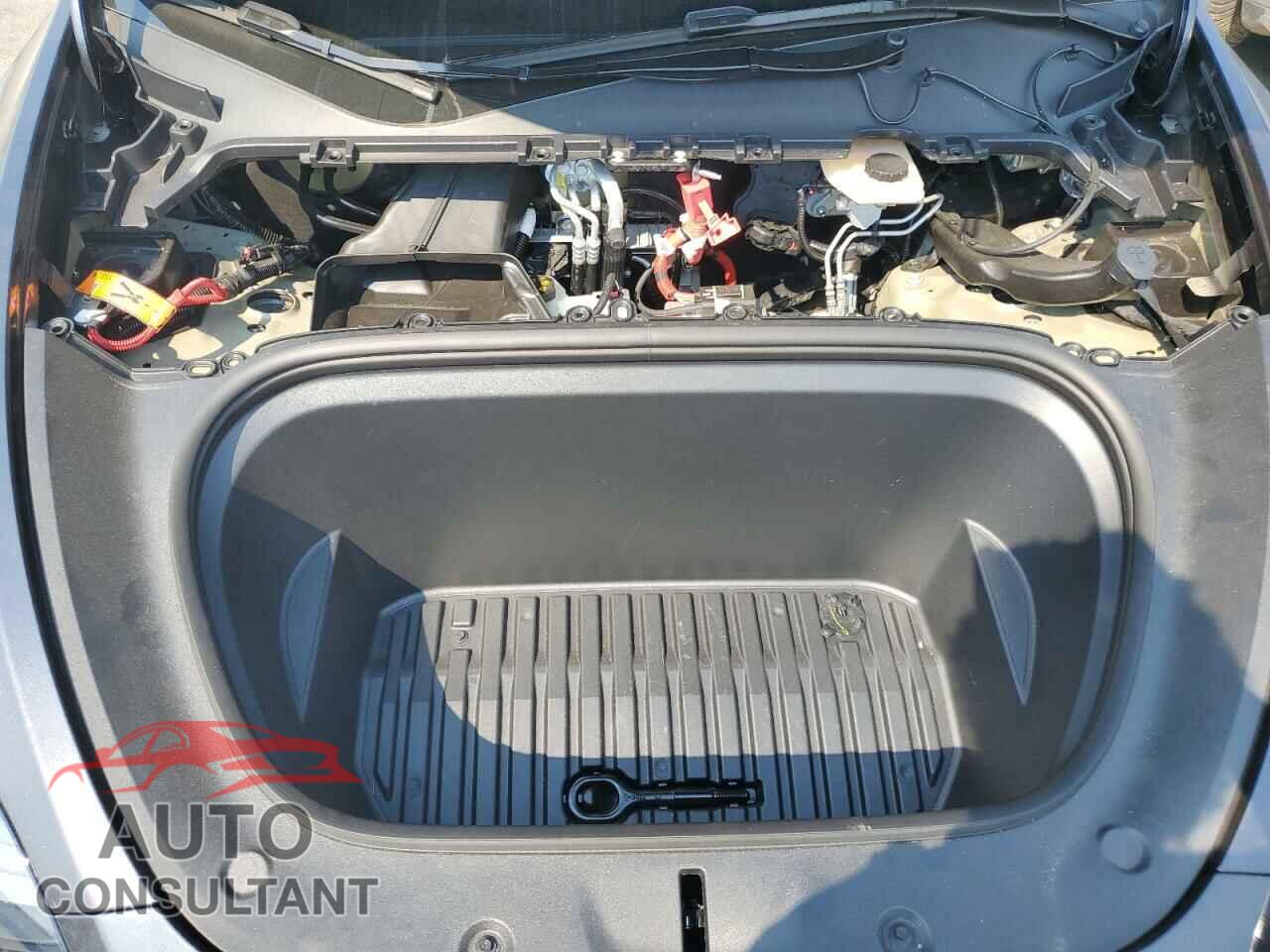 TESLA MODEL Y 2024 - 7SAYGDEE2RF007771