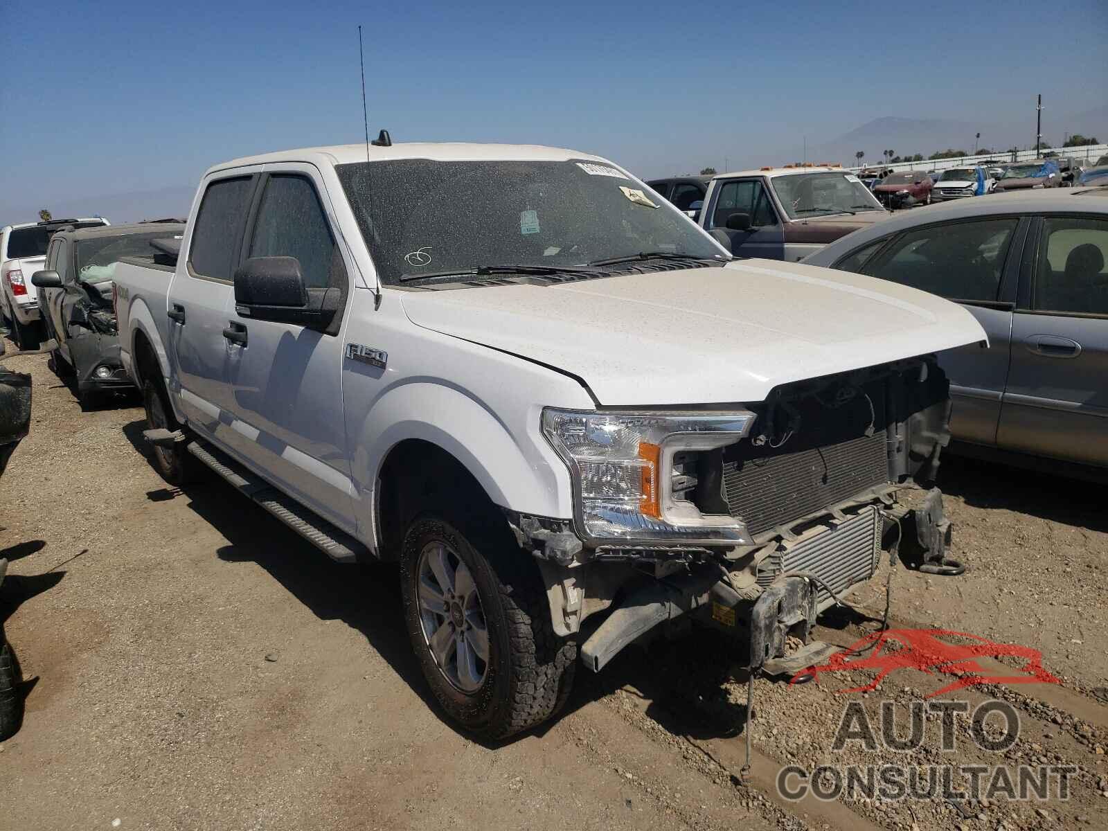 FORD F-150 2019 - 1FTEW1EP5KKD65619