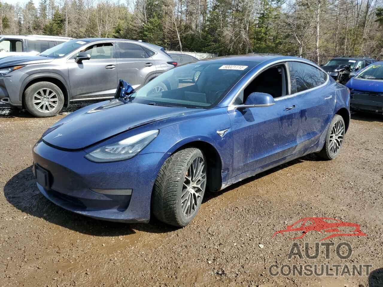 TESLA MODEL 3 2018 - 5YJ3E1EA2JF029282