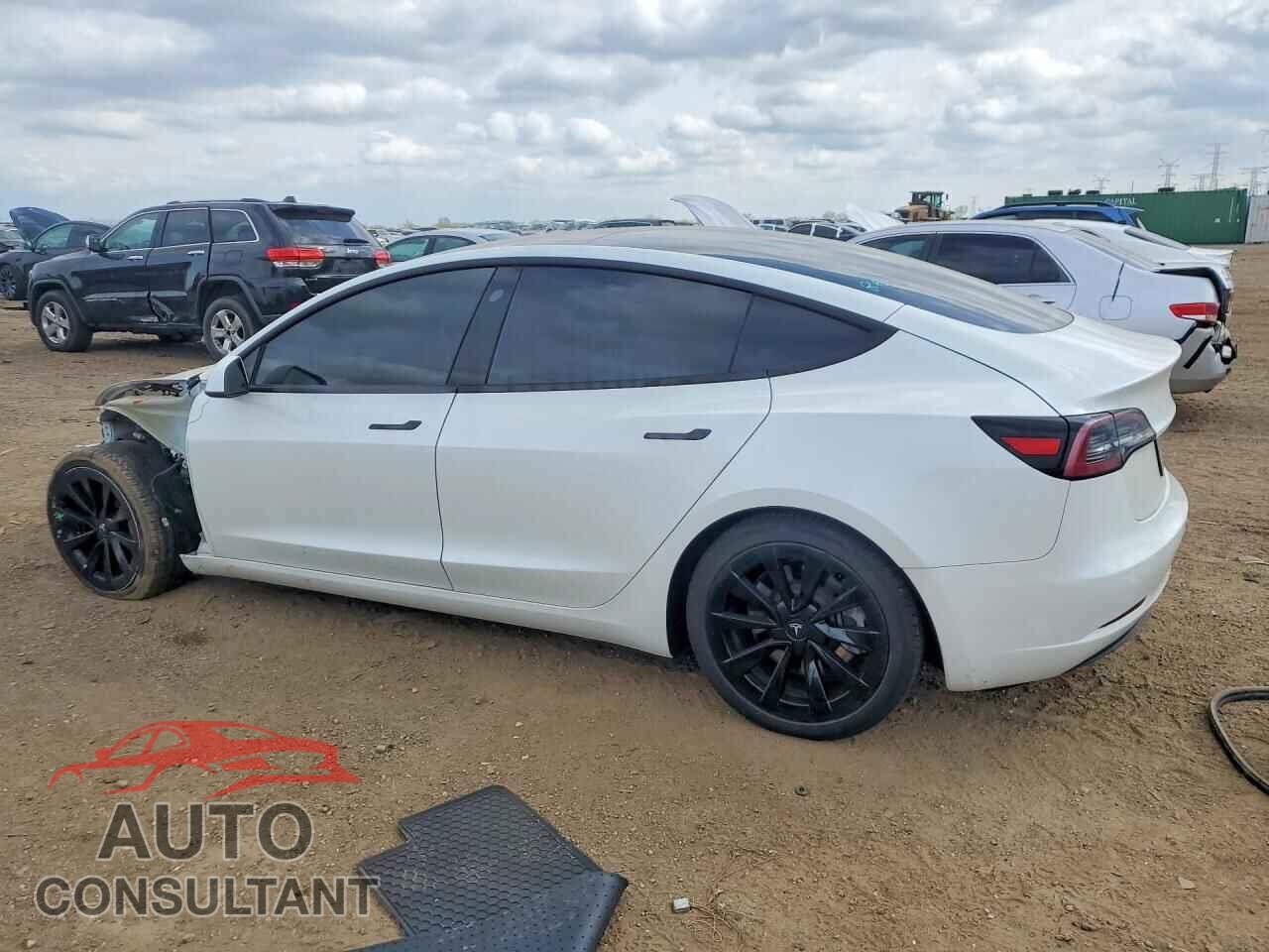 TESLA MODEL 3 2021 - 5YJ3E1EA1MF921804