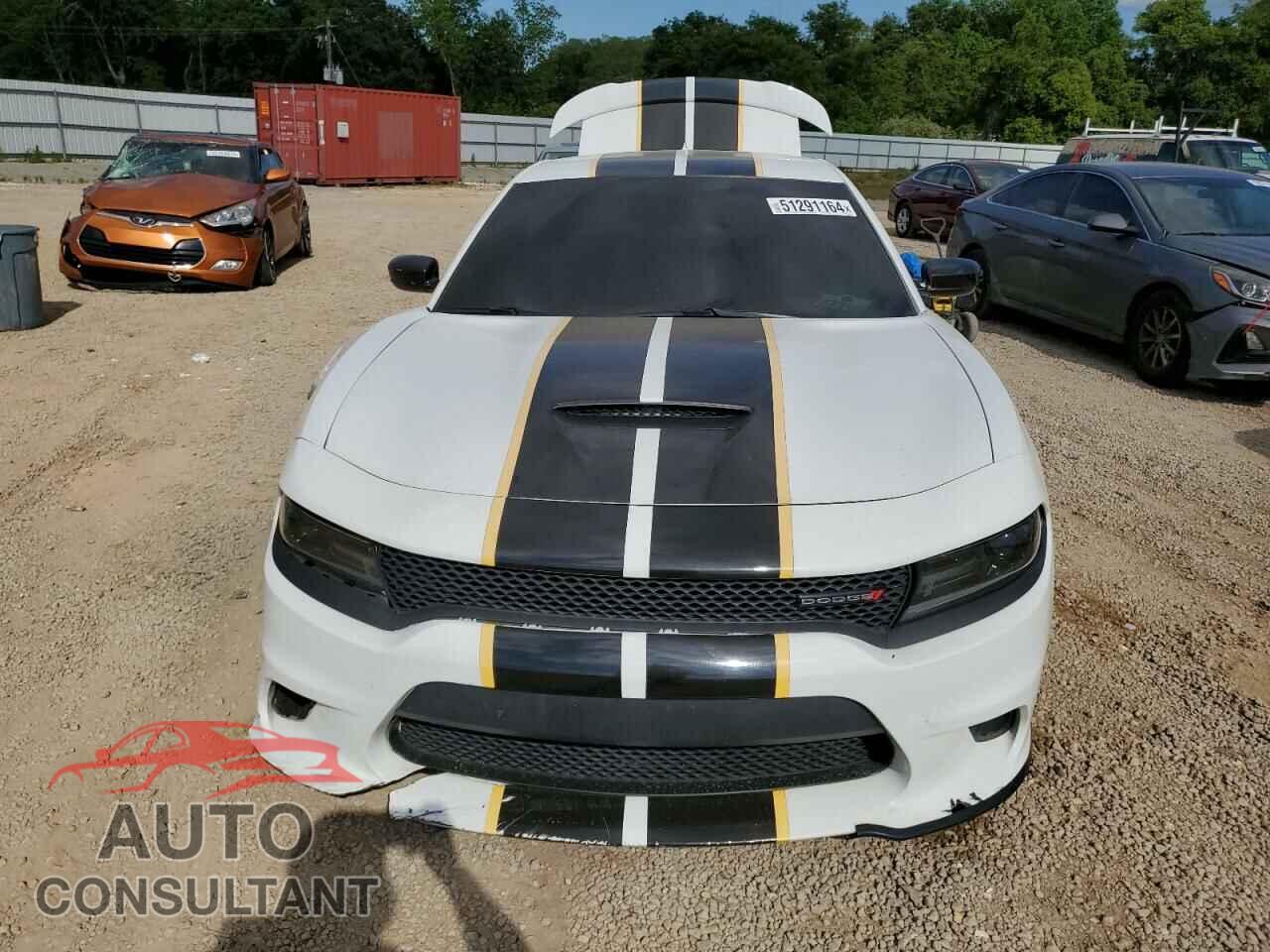 DODGE CHARGER 2019 - 2C3CDXCT9KH738415