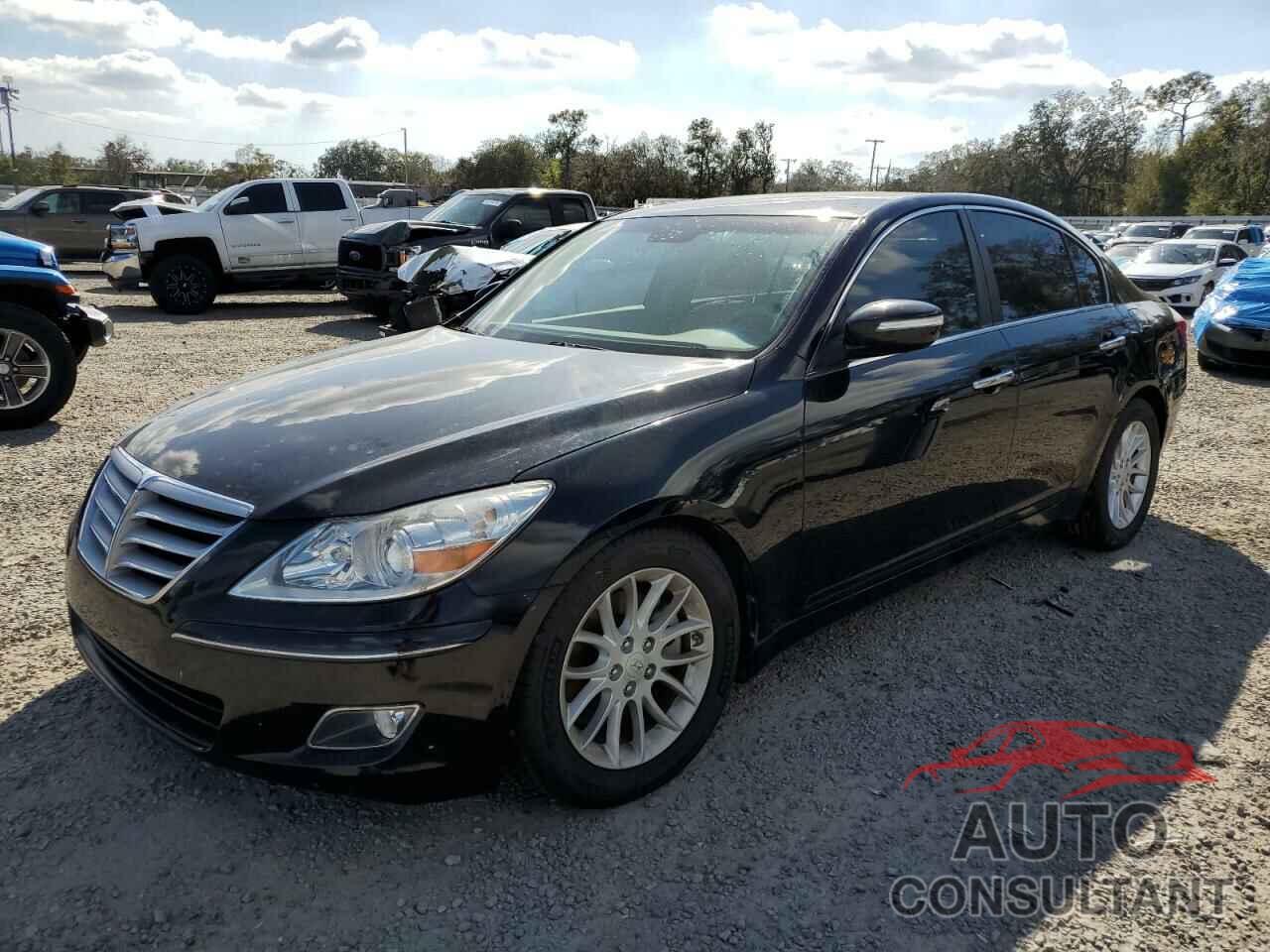HYUNDAI GENESIS 2009 - KMHGC46E09U061317