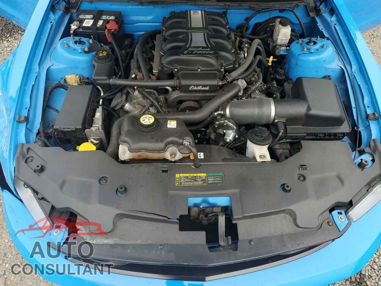 FORD MUSTANG 2010 - 1ZVBP8CH9A5115587