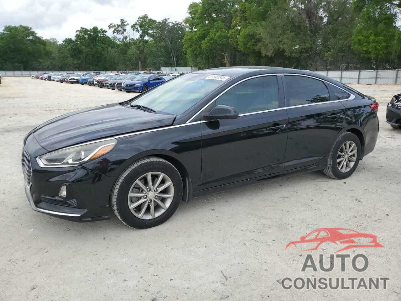 HYUNDAI SONATA 2019 - 5NPE24AF3KH729691