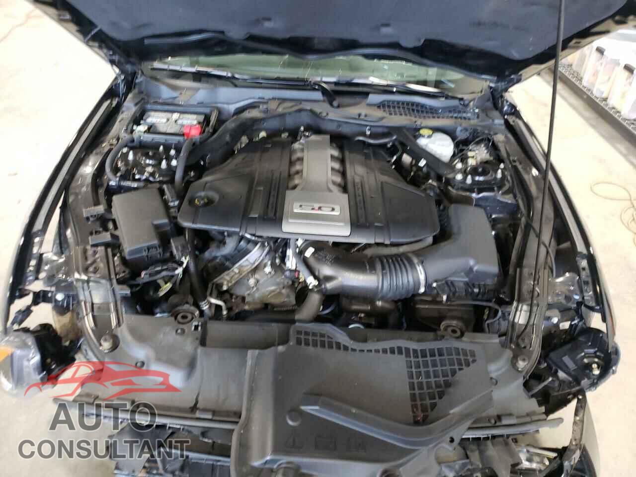 FORD MUSTANG 2019 - 1FA6P8CF4K5110128
