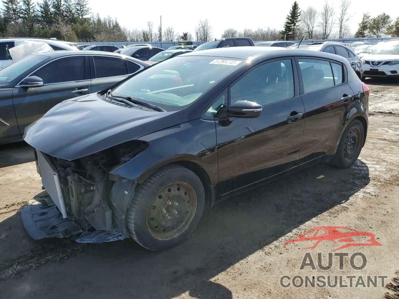 KIA FORTE 2017 - KNAFK5A80H5672514