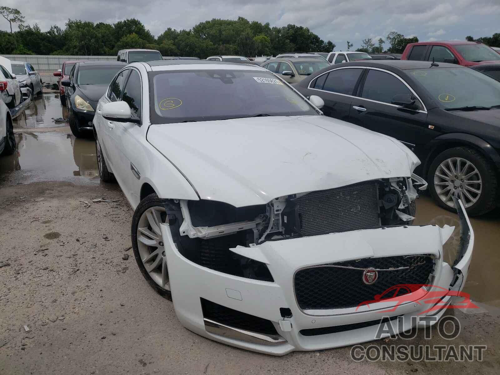 JAGUAR XF 2016 - SAJBE4BV1GCY14260