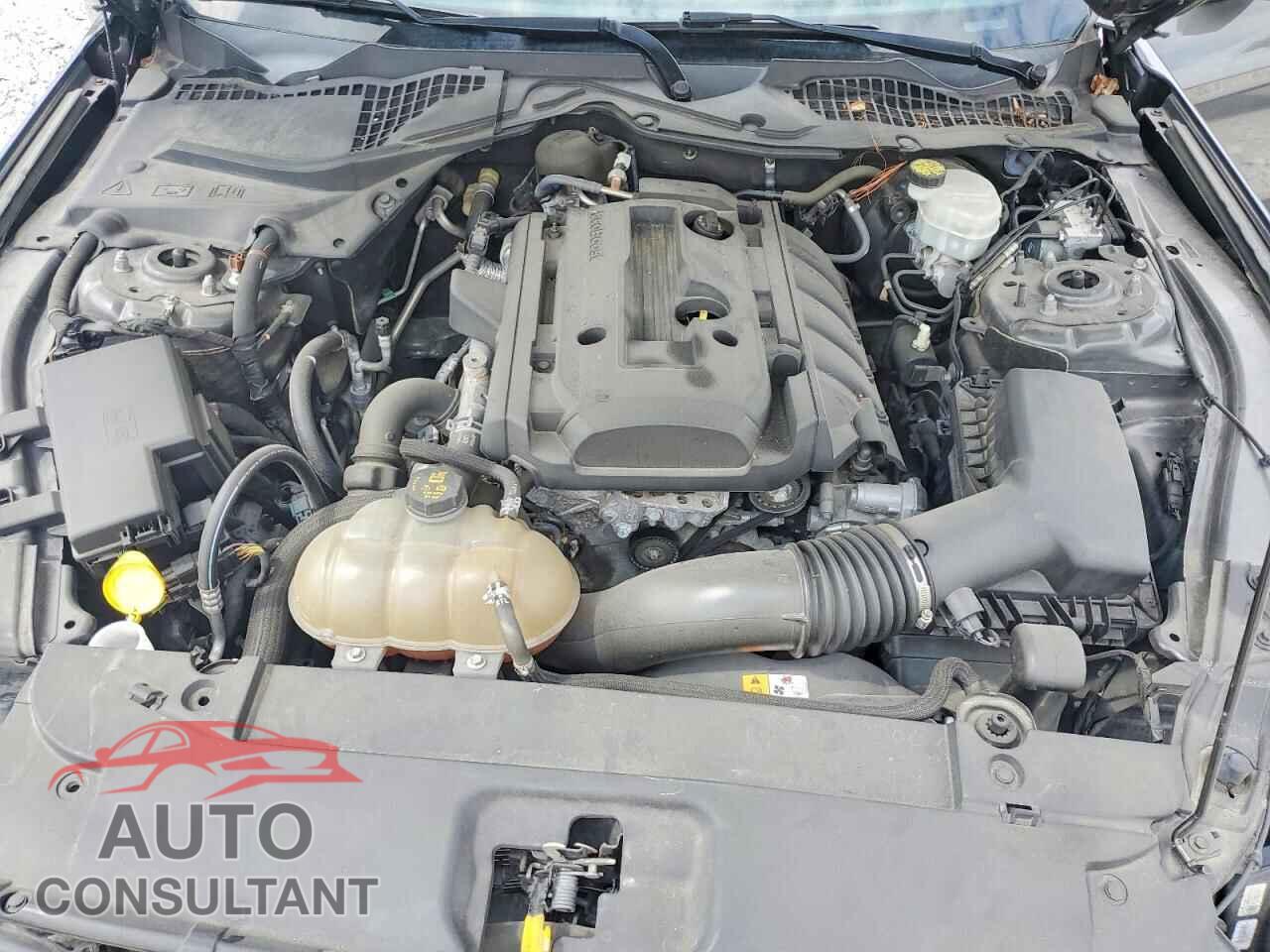 FORD MUSTANG 2017 - 1FA6P8TH4H5295243