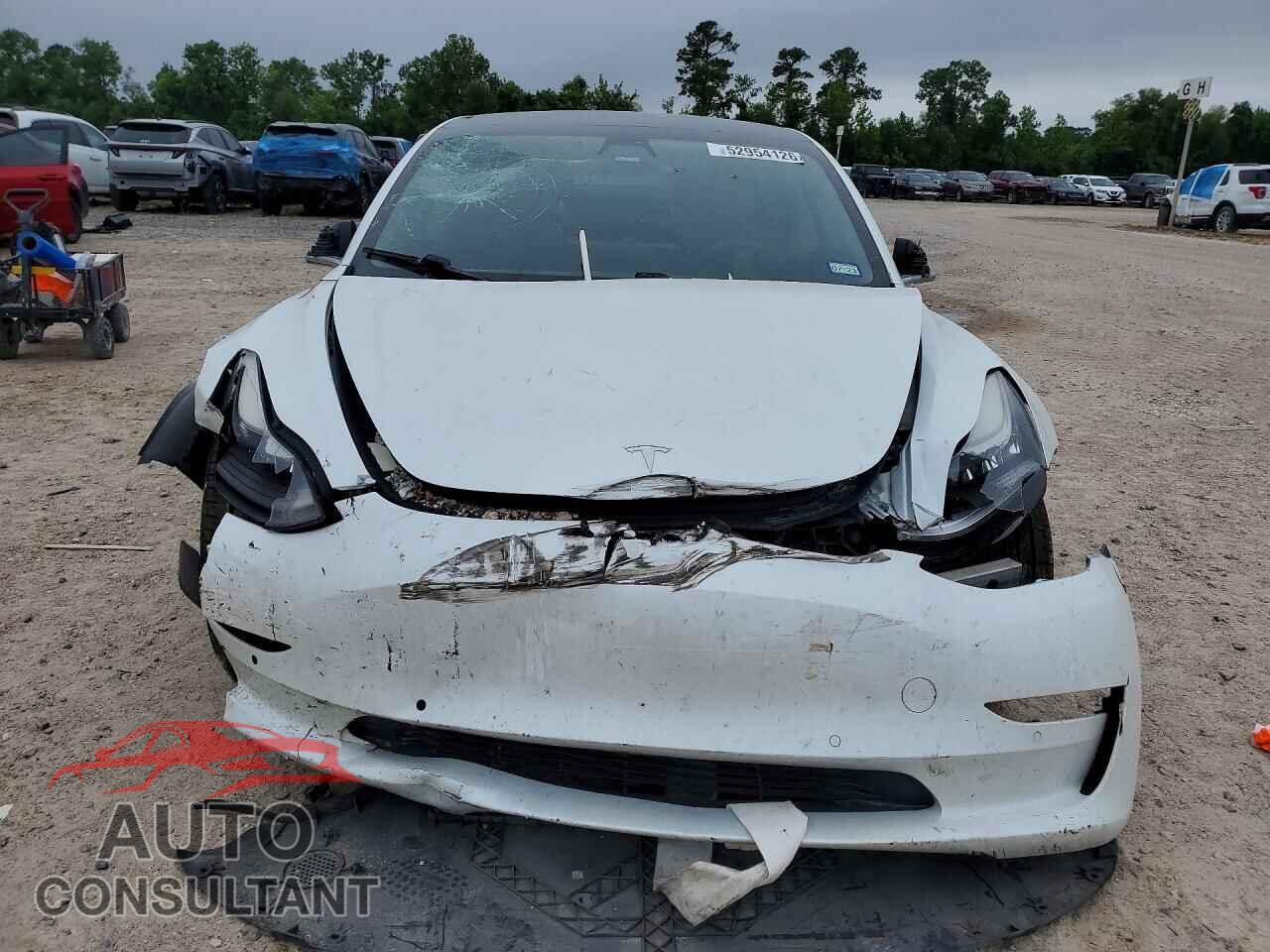 TESLA MODEL 3 2019 - 5YJ3E1EB8KF194408