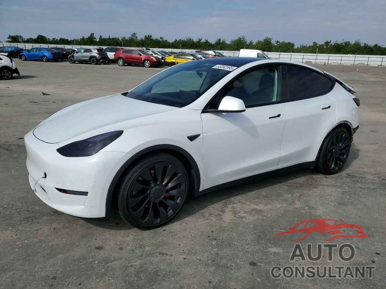 TESLA MODEL Y 2022 - 7SAYGDEF4NF403784