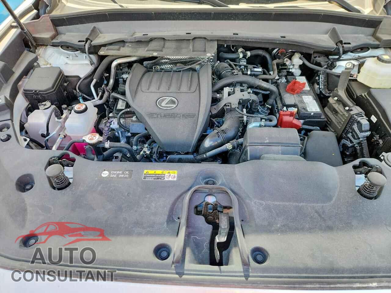 LEXUS UNKNOWN 2024 - 5TDAAAB68RS006261