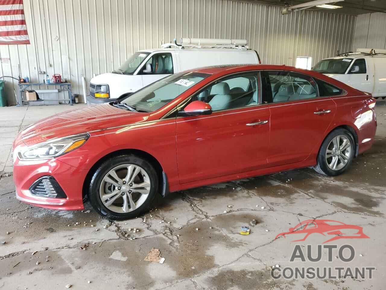 HYUNDAI SONATA 2019 - 5NPE34AF6KH793415