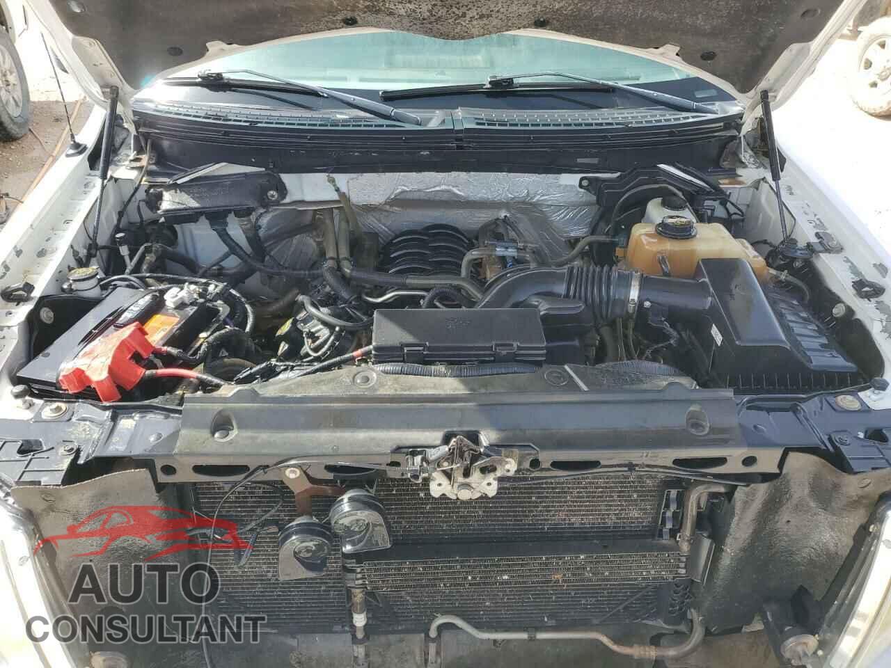 FORD F-150 2012 - 1FTFW1EF7CKD11557