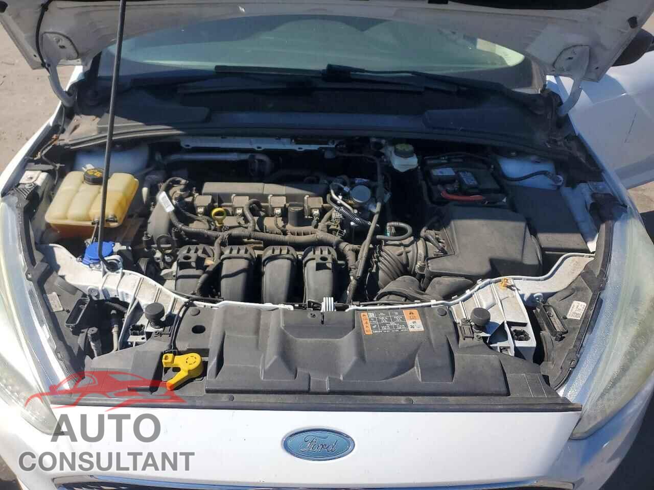 FORD FOCUS 2017 - 1FADP3E28HL256671