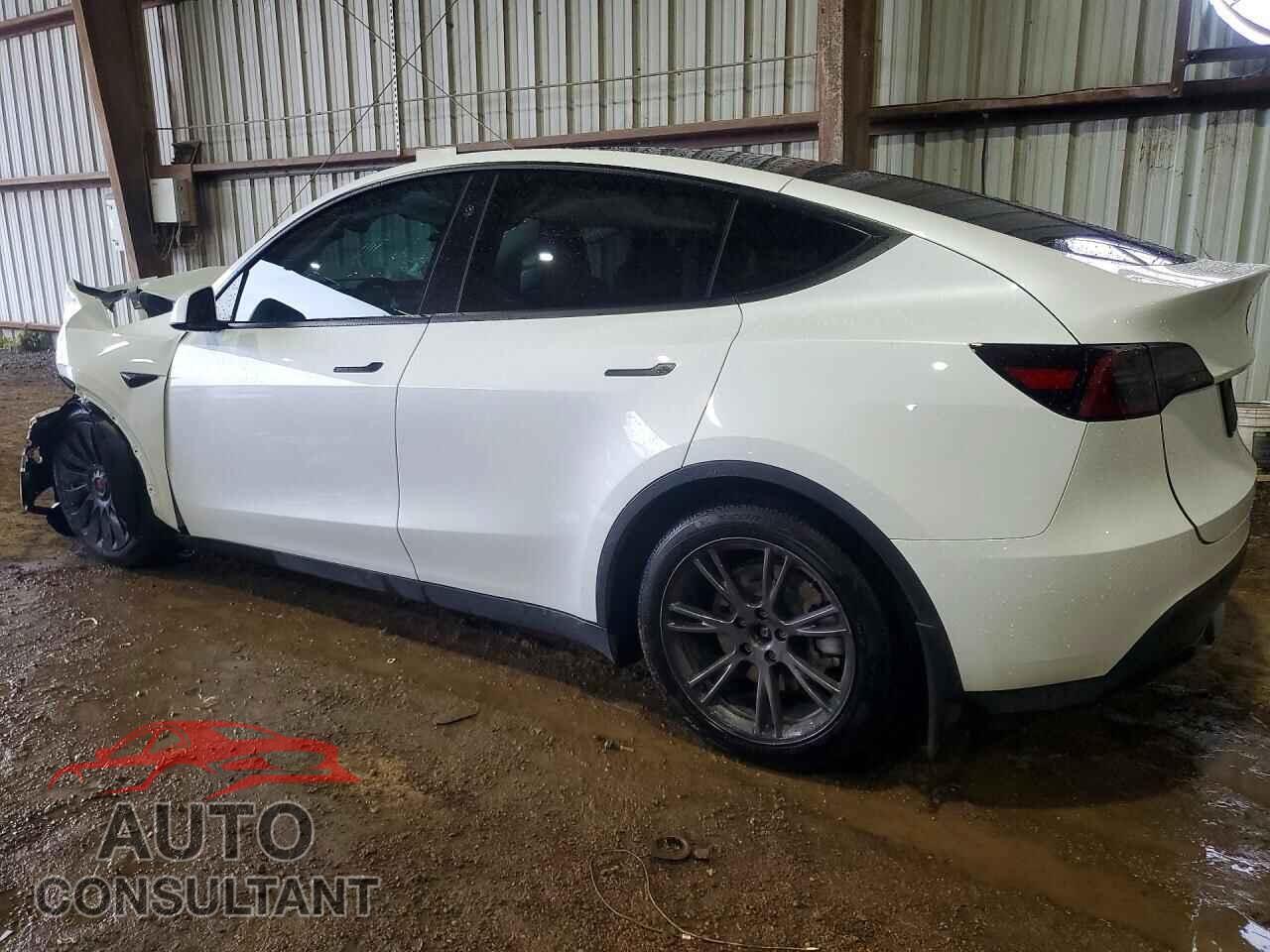 TESLA MODEL Y 2024 - 7SAYGAEE8RF193976