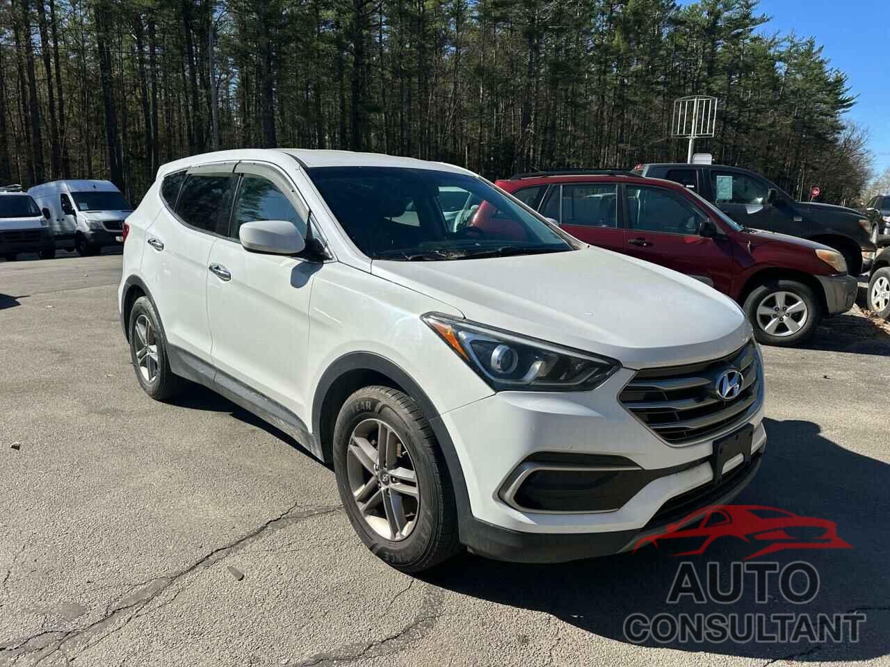 HYUNDAI SANTA FE 2017 - 5NMZTDLB1HH015864