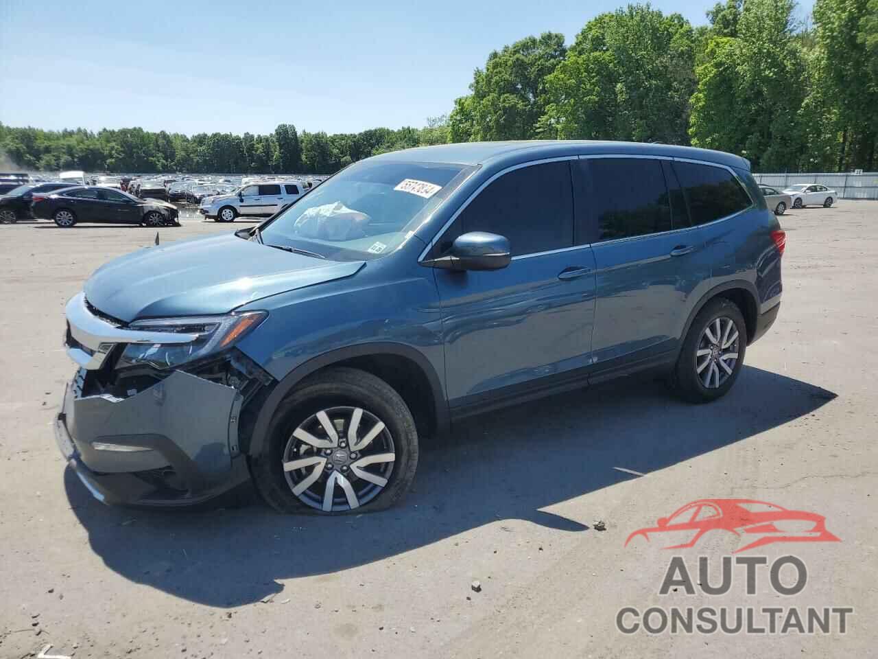 HONDA PILOT 2022 - 5FNYF6H5XNB020351