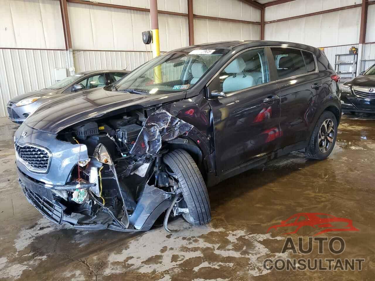 KIA SPORTAGE 2022 - KNDPM3AC3N7967973