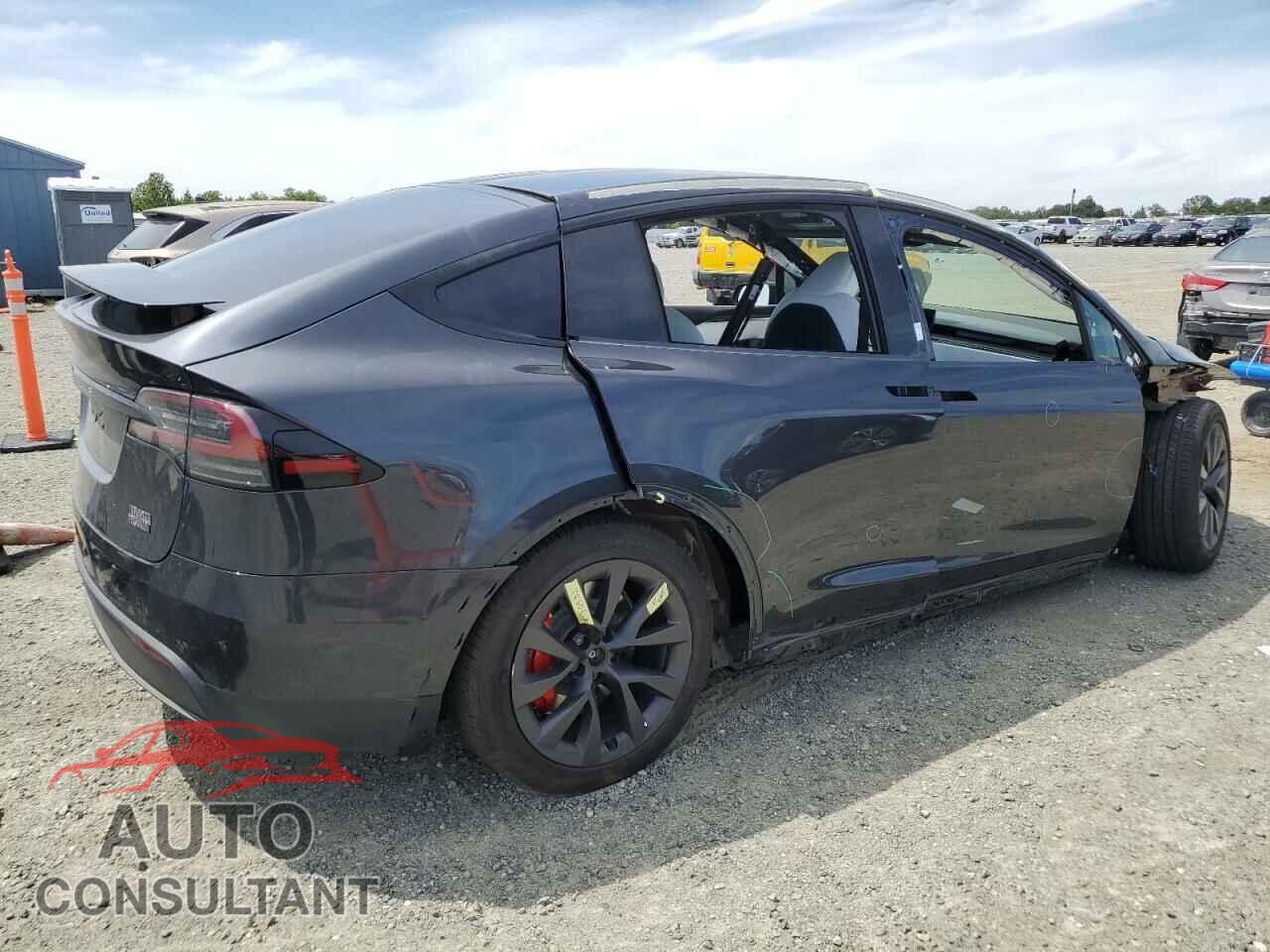 TESLA MODEL X 2024 - 7SAXCBE69RF454070