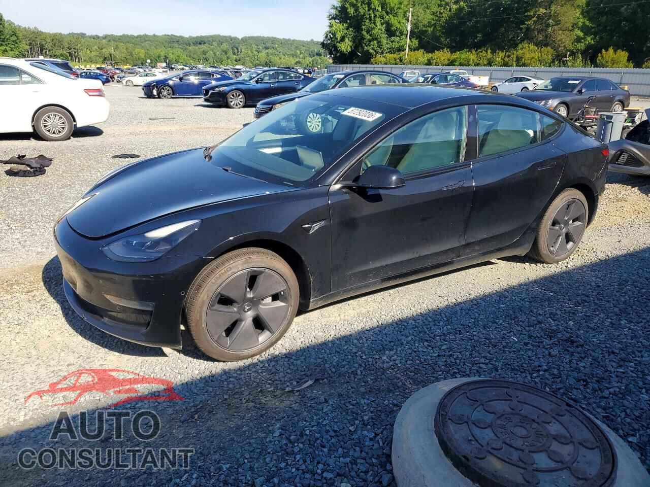 TESLA MODEL 3 2021 - 5YJ3E1EA2MF063050